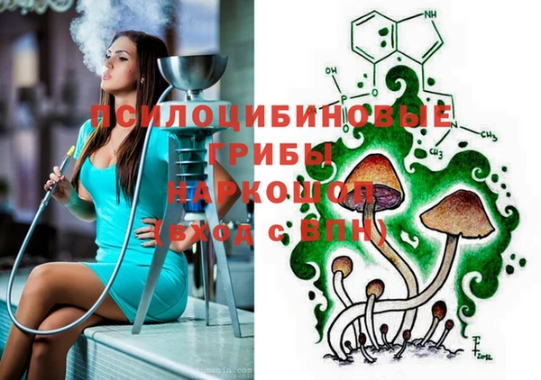 молекула духа Абинск