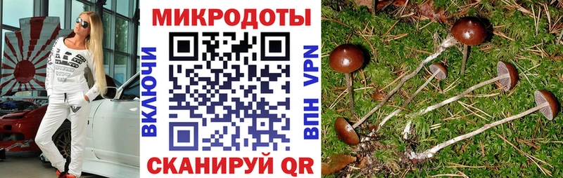 купить  цена  Азнакаево  Псилоцибиновые грибы Psilocybe 