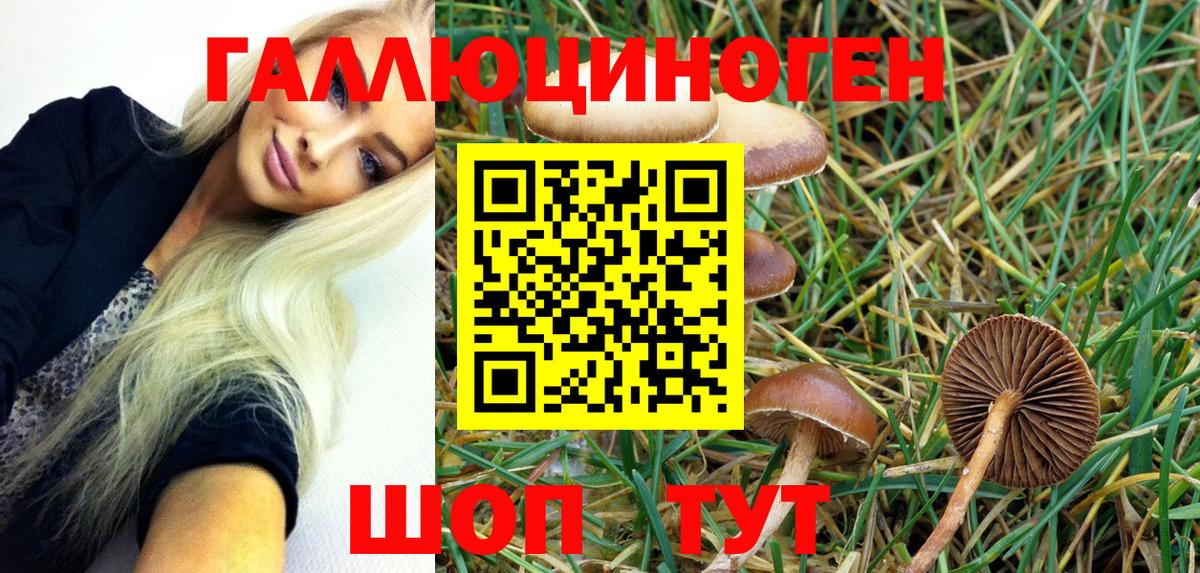Псилоцибиновые грибы GOLDEN TEACHER Азнакаево